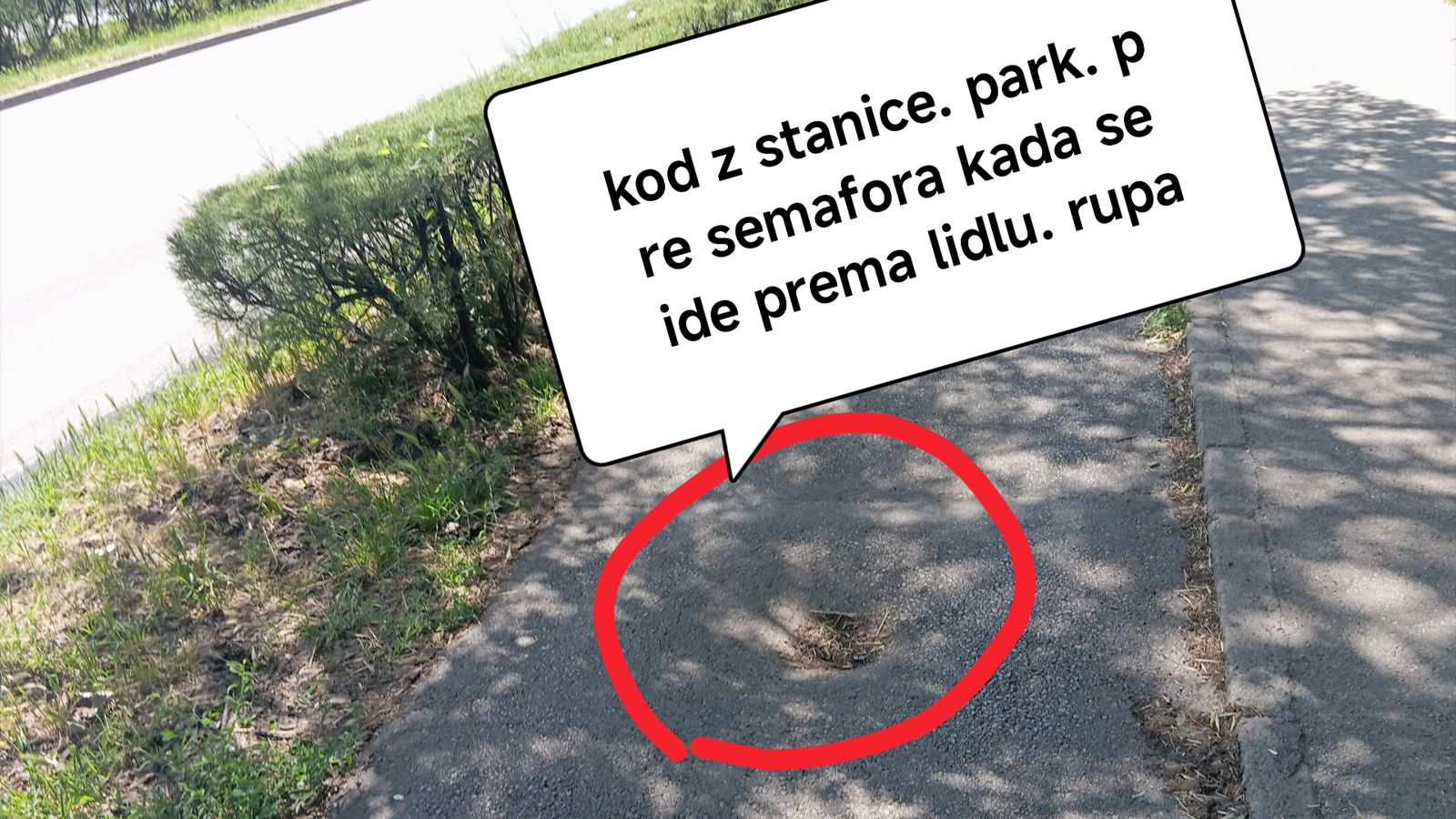 Rupa na bic. stazi na Bul. Jaše Tomića