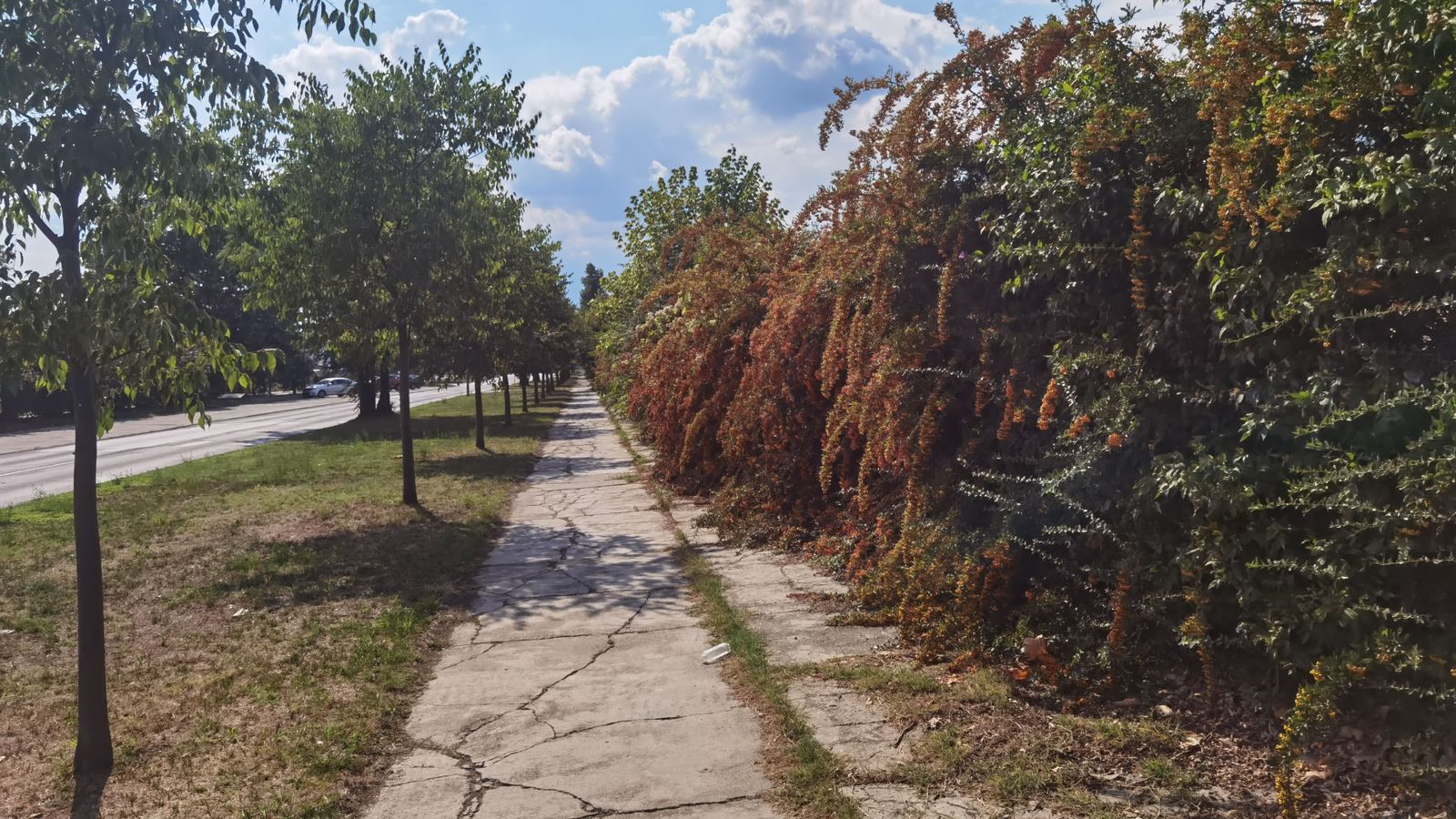 Prijava rastinja nad biciklističkom stazom i oštećenje infrastrukture