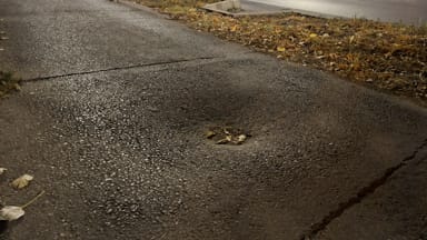 Prijava oštećenja bic. infrastrukture na Bul. Jaše Tomića kod parka