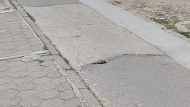 Prijava oštećenja bic. staze u Rumenačkoj br. 148