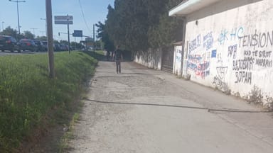 Nedostatak trotoara i bic. staze na Bul. Evrope