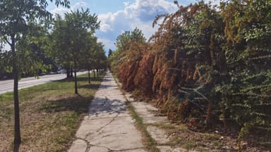 Prijava rastinja nad biciklističkom stazom i oštećenje infrastrukture