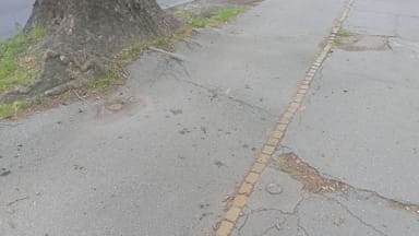 Oštećenje bic. staze u Futoškoj 28