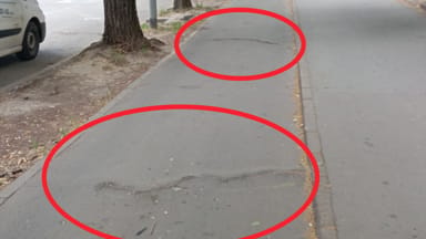 Oštećenje bic. staze - izdignuća asfalta od korenja