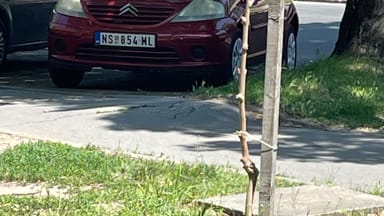 Prijava izdignuća asfalta na bic. stazi