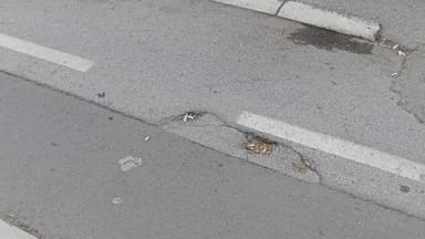 Oštećenje bic. staze Bulevar oslobođenja 90