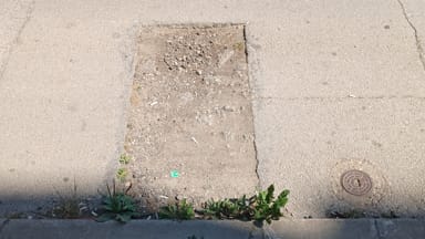 Prijava oštećenja bic. staze na Bul. patrijarha Pavla br. 121